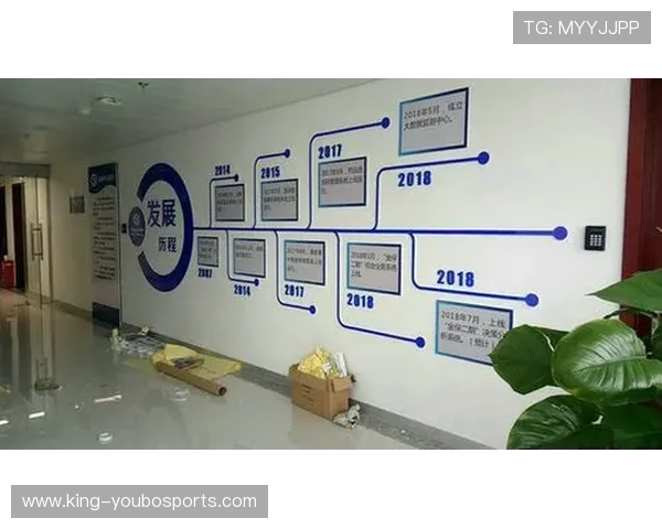 里尔俱乐部发展历程与未来战略分析报告 里尔俱乐部发展历程与未来战略分析报告